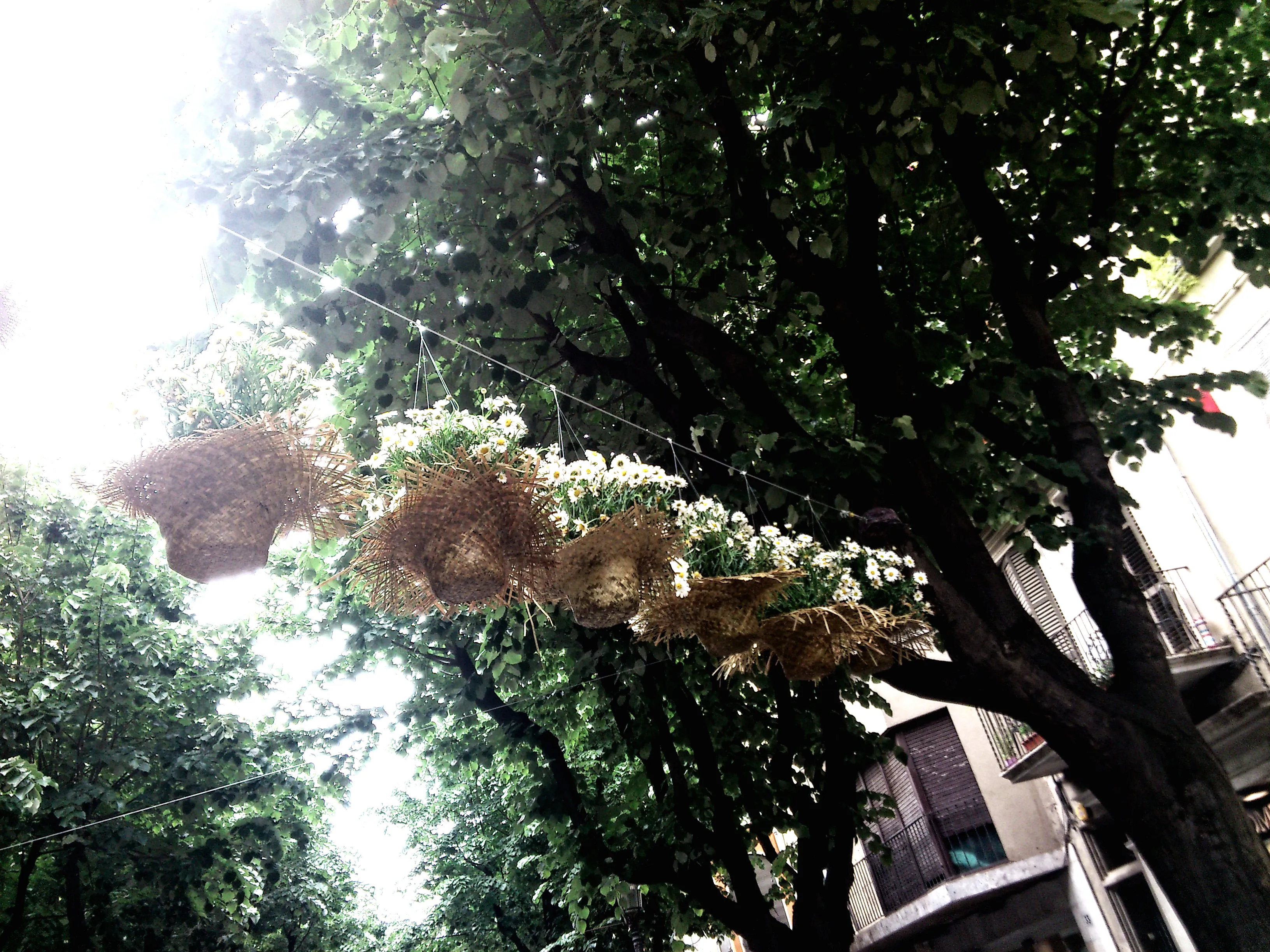 Muntatge Temps de Flors 3